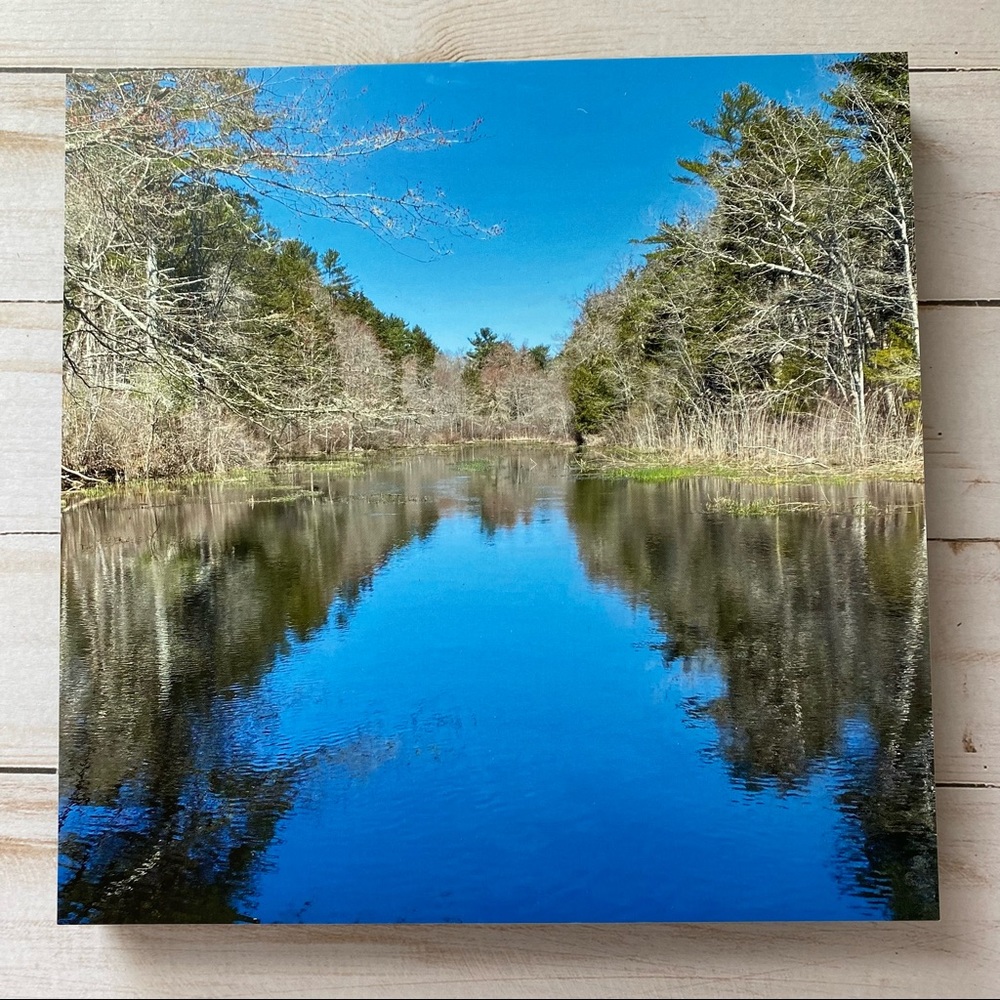 8” x 8” Forest Scene Photo Tile